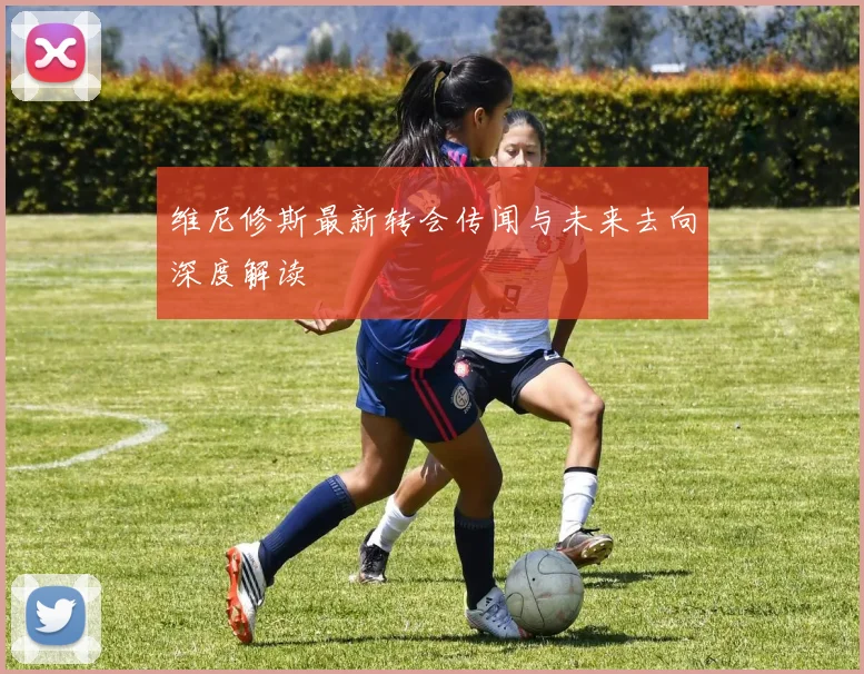 维尼修斯最新转会传闻与未来去向深度解读