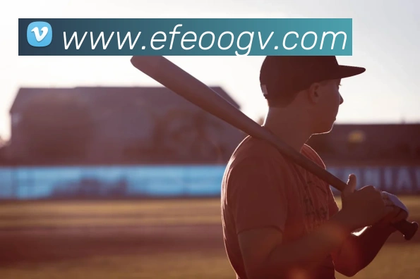 互动解说服务